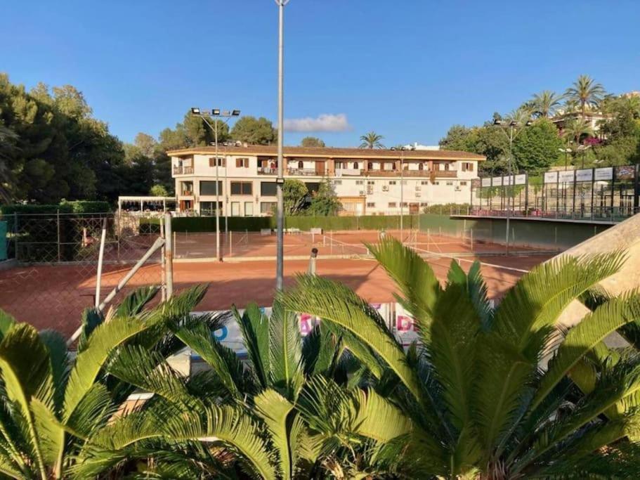La Casa De Las Palmeras Muntanya la Sella المظهر الخارجي الصورة